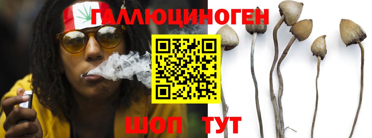 цены   Галлюциногенные грибы мицелий  Вход с VPN  Псилоцибиновые грибы Psilocybe  Электросталь 